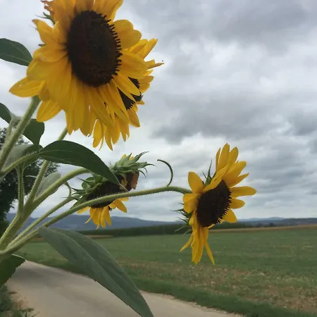 Marlibelle Сasa de vacaciones *