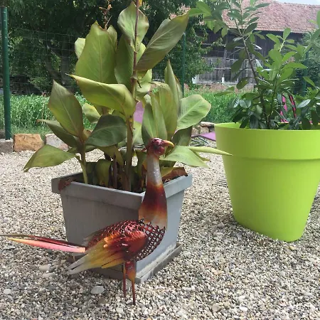 Marlibelle Сasa de vacaciones