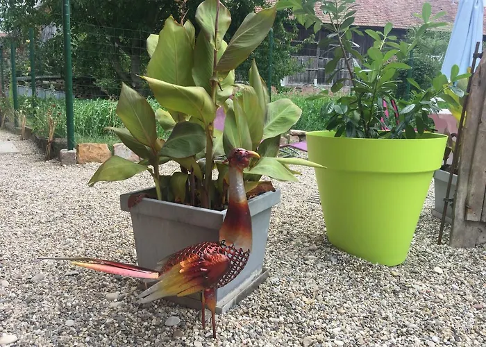 Marlibelle Dom wakacyjny